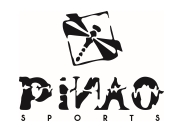 Vor dem Spiel ist nach dem Spiel: Die WM 2018 mit PiNAO Sports