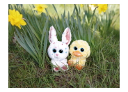 Die GLUBSCHIS von NICI begrüßen den Frühling