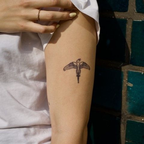 Die Magie von Harry Potter mit Inkster erleben