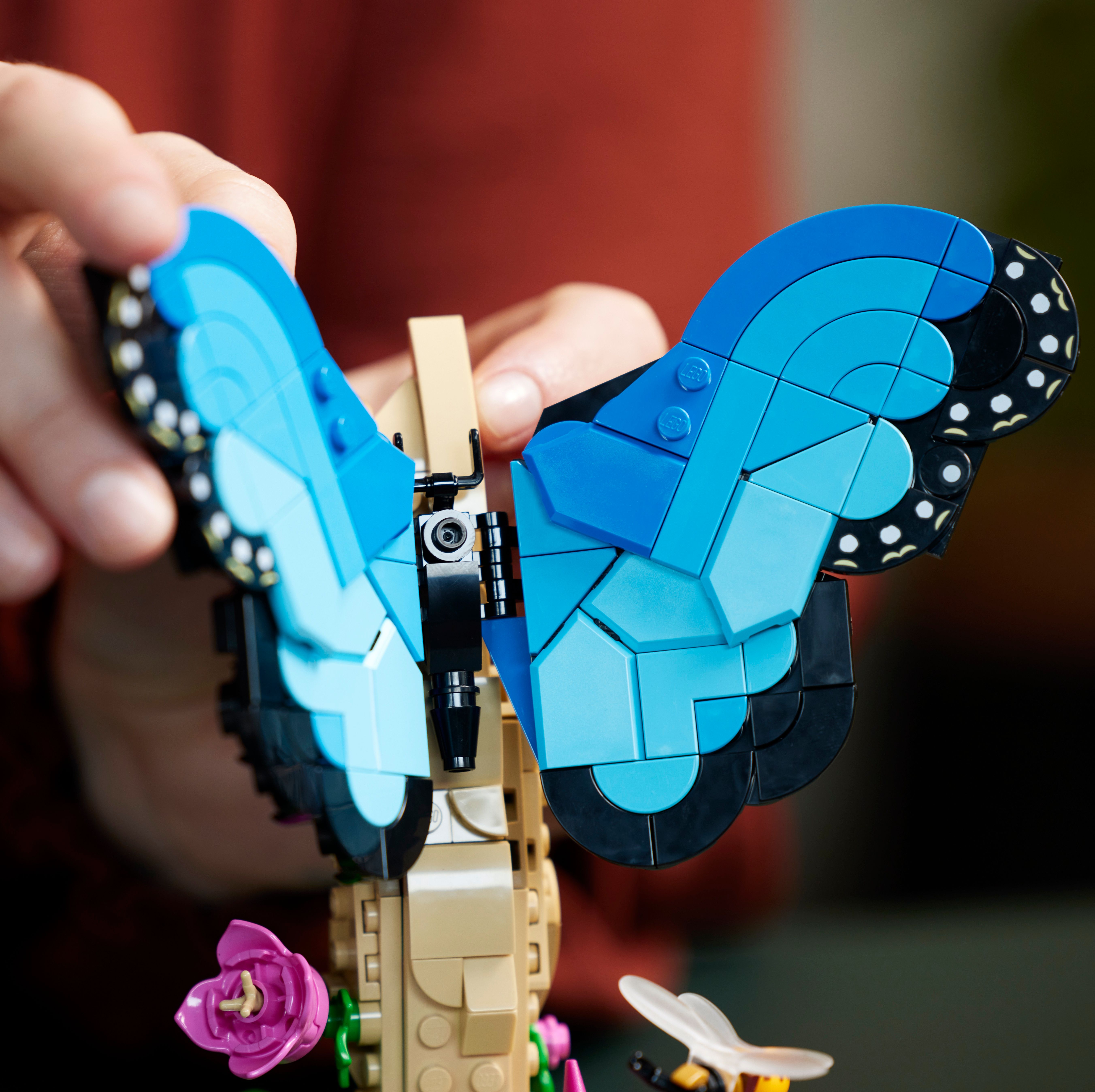 Das große Krabbeln mit dem neuen LEGO® Ideas die Insektensammlung Set