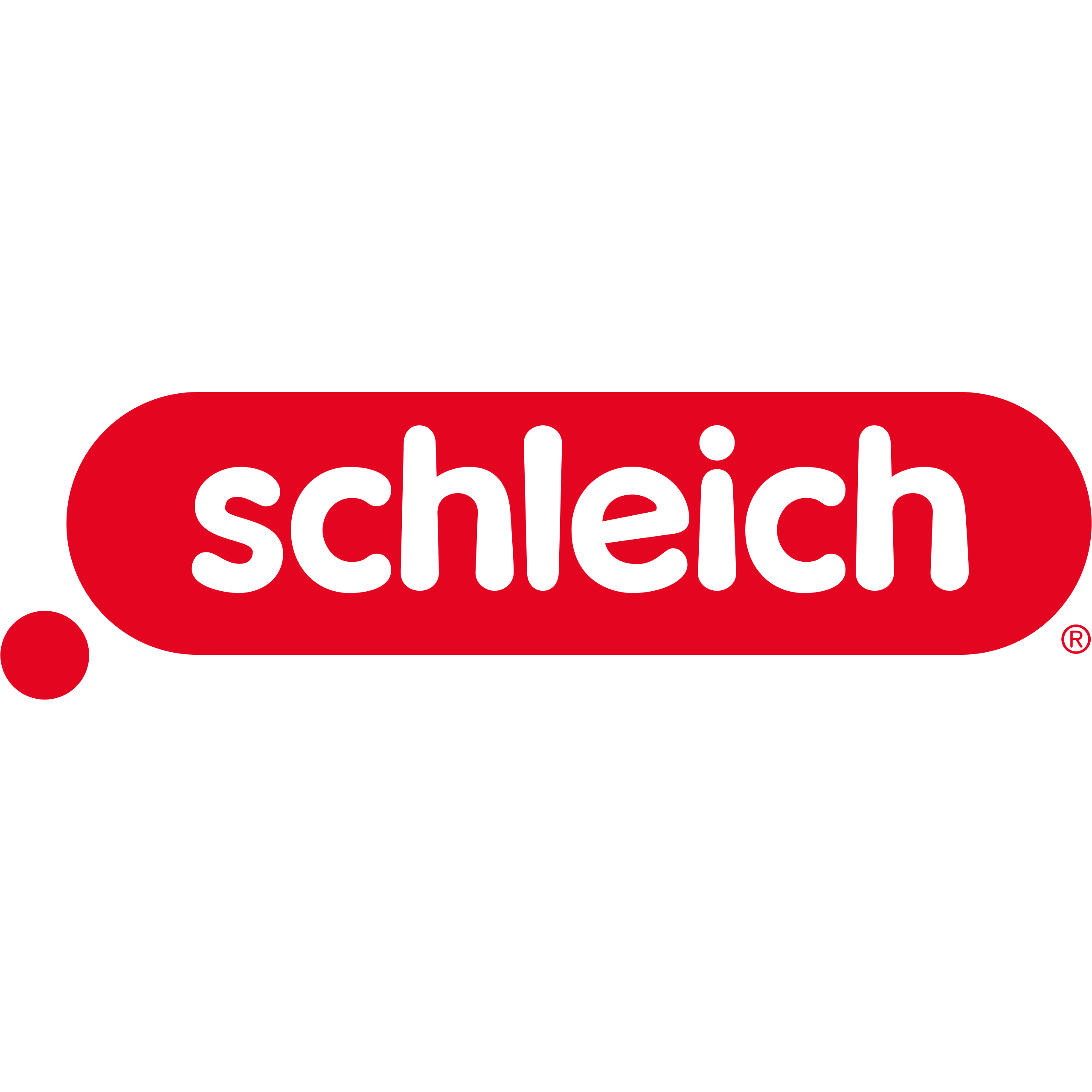 Schleich stellt sich neu auf für nachhaltiges Wachstum