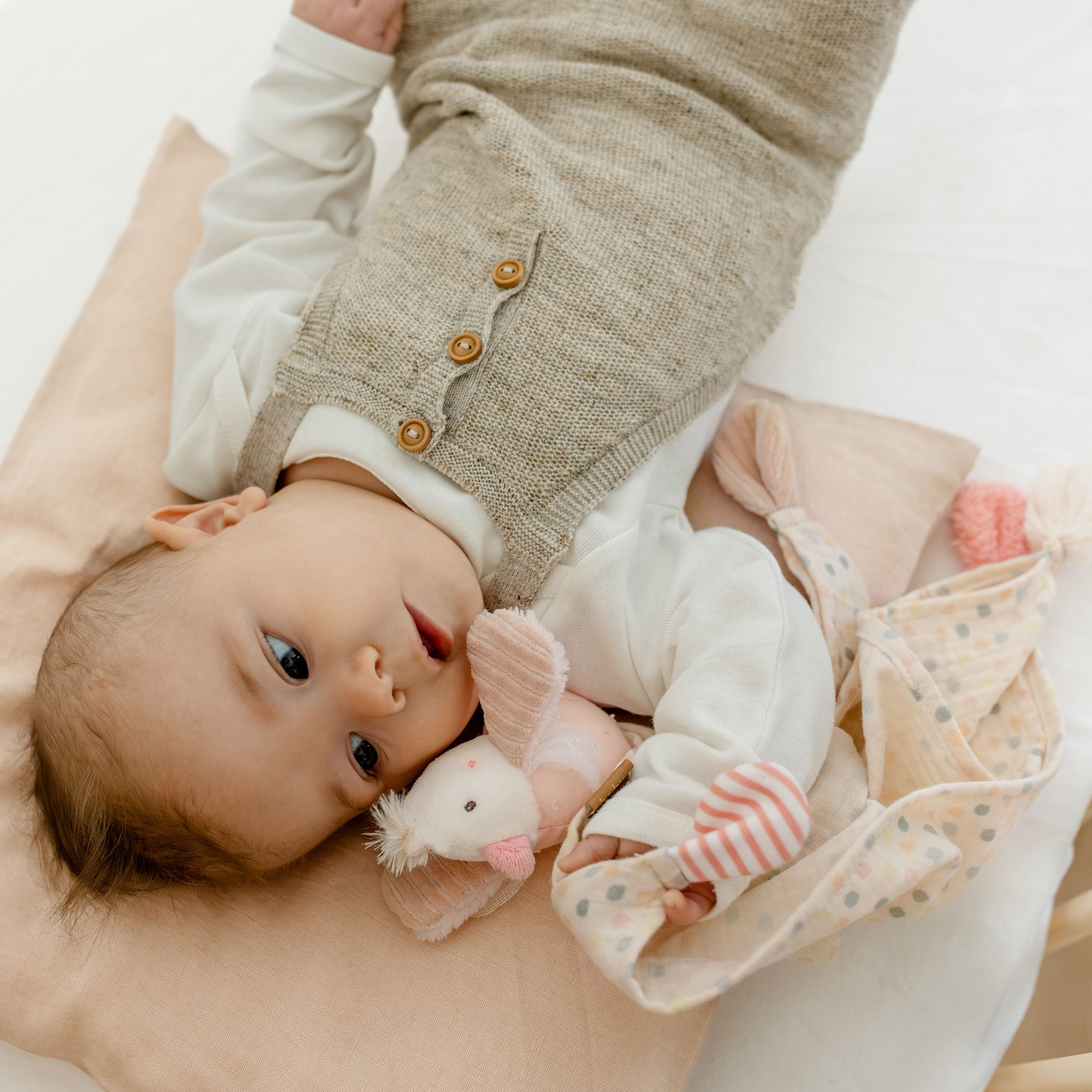 feehnLAND ab jetzt für den Fachhandel verfügbar!