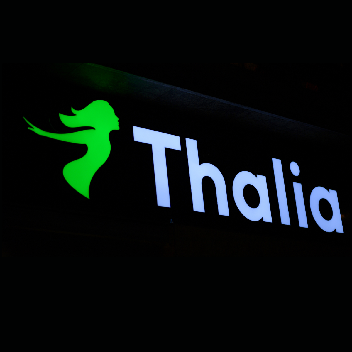 Thalia übernimmt Spielwaren Krömer und Toysino: Strategische Expansion im Spielwarenfachhandel