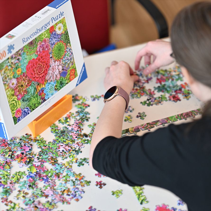 Internationaler Puzzletag 2026