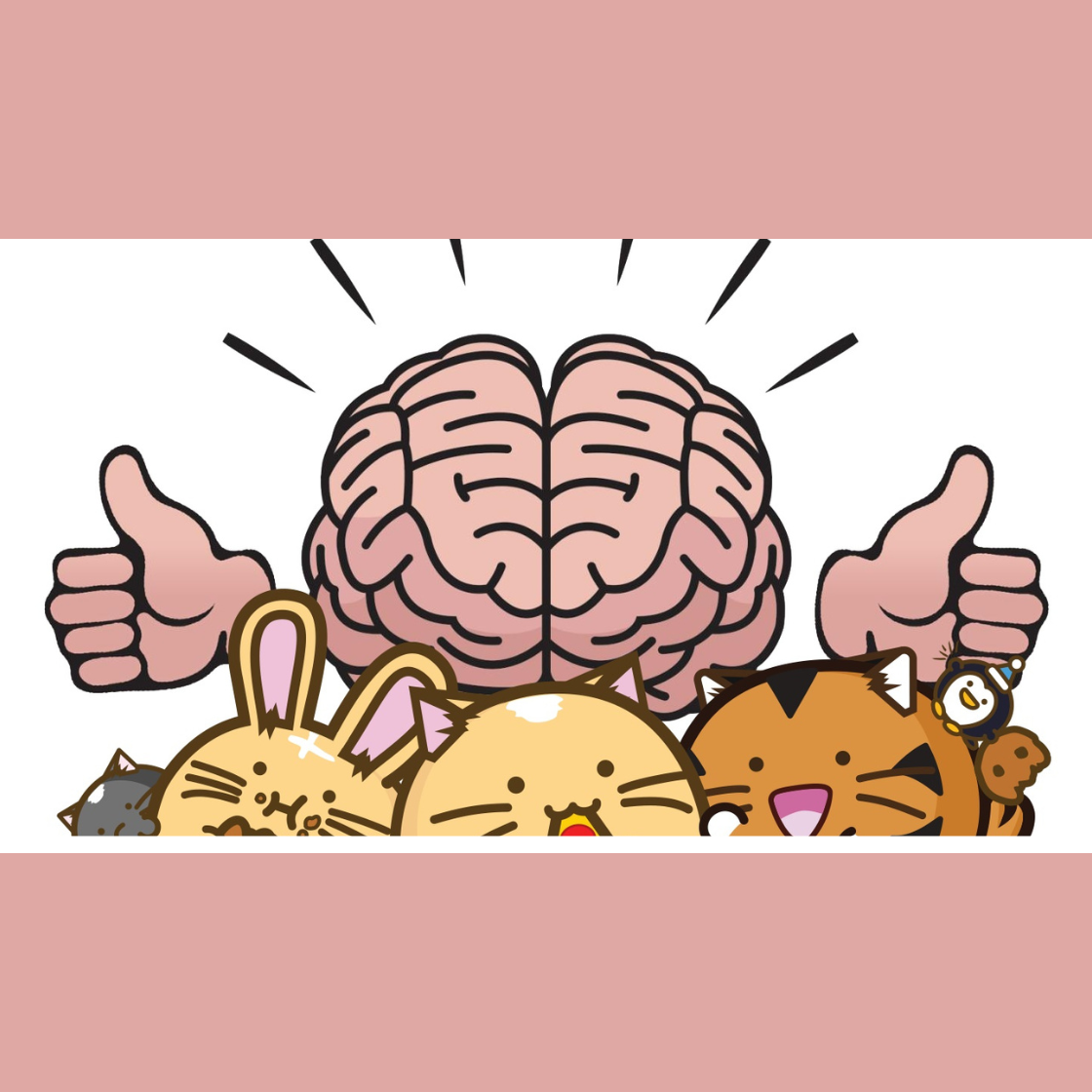 Fuzzballs Signs With Fanattik